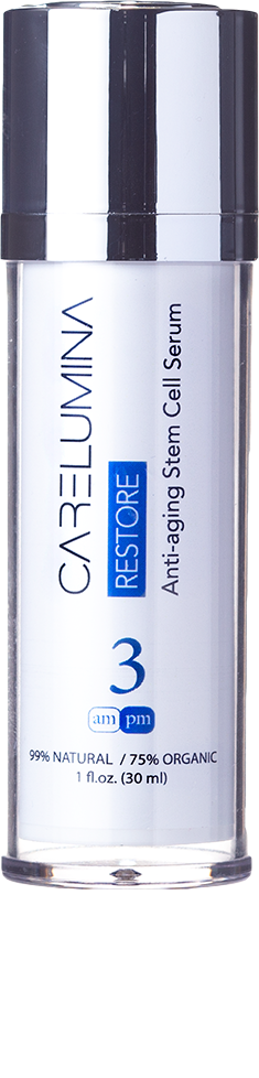 B3 - Restore